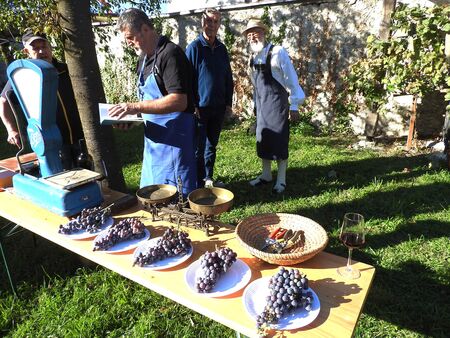 Najtežji grozd je tehtal 0,49 kg Obiskovalci so lahko napovedali težo